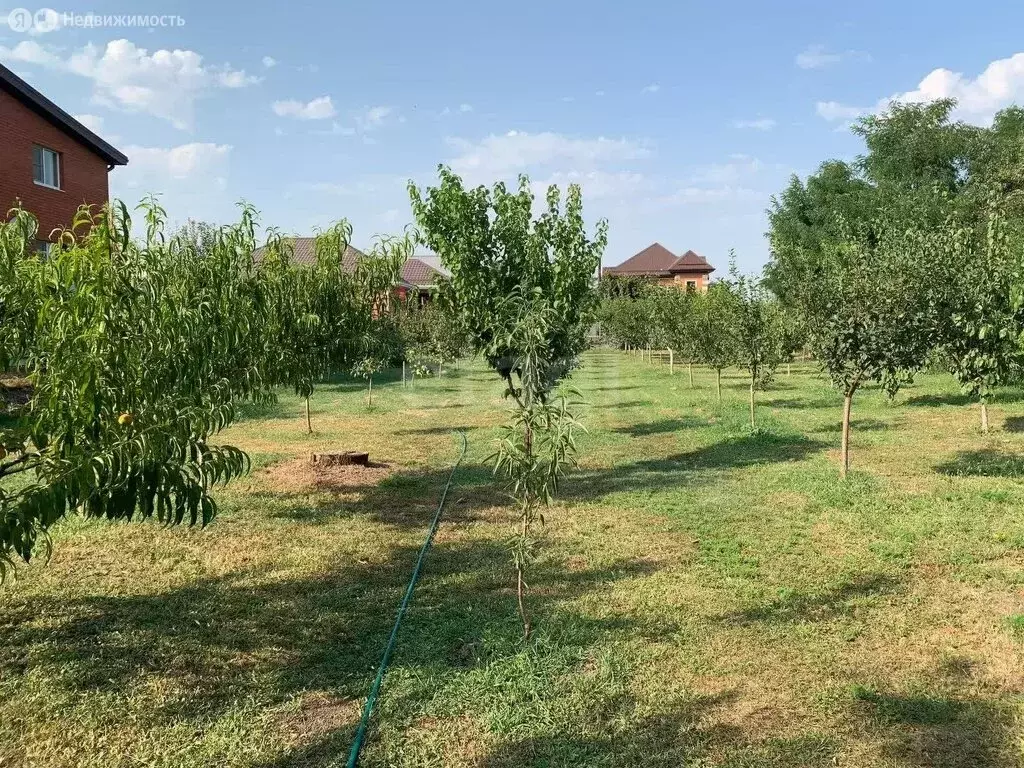 Участок в станица Новодмитриевская, Садовая улица (10 м) - Фото 1
