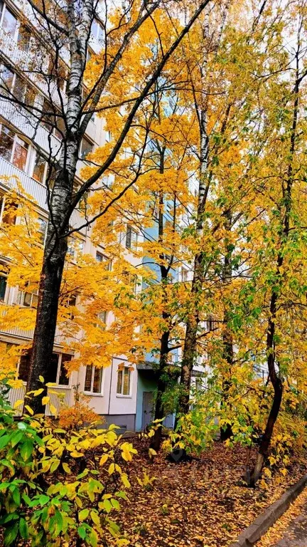 3-к кв. Санкт-Петербург ул. Подвойского, 33к2 (58.1 м) - Фото 0