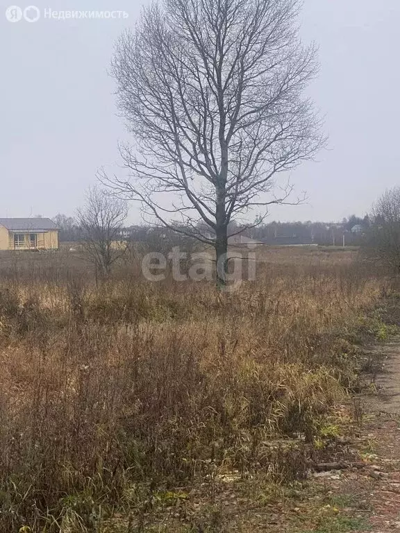 Участок в Дмитровский городской округ, деревня Кончинино (10 м) - Фото 0