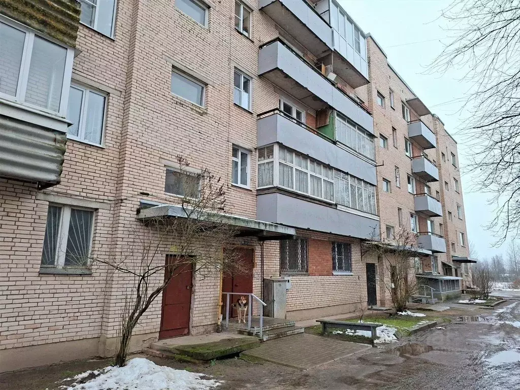 5-к кв. Ленинградская область, Тосненский район, Рябовское городское ... - Фото 1