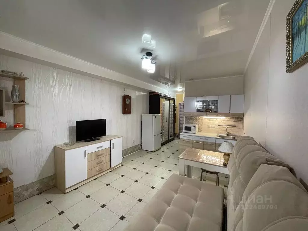 Студия Краснодарский край, Анапа Владимирская ул., 154к1 (24.0 м) - Фото 2