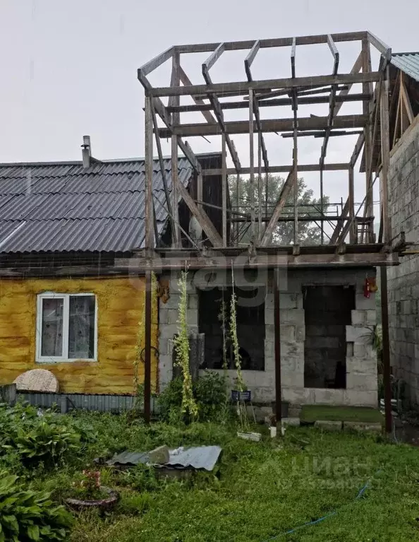 Дом в Алтай, Майминский район, с. Соузга Центральная ул., 12 (26 м) - Фото 1