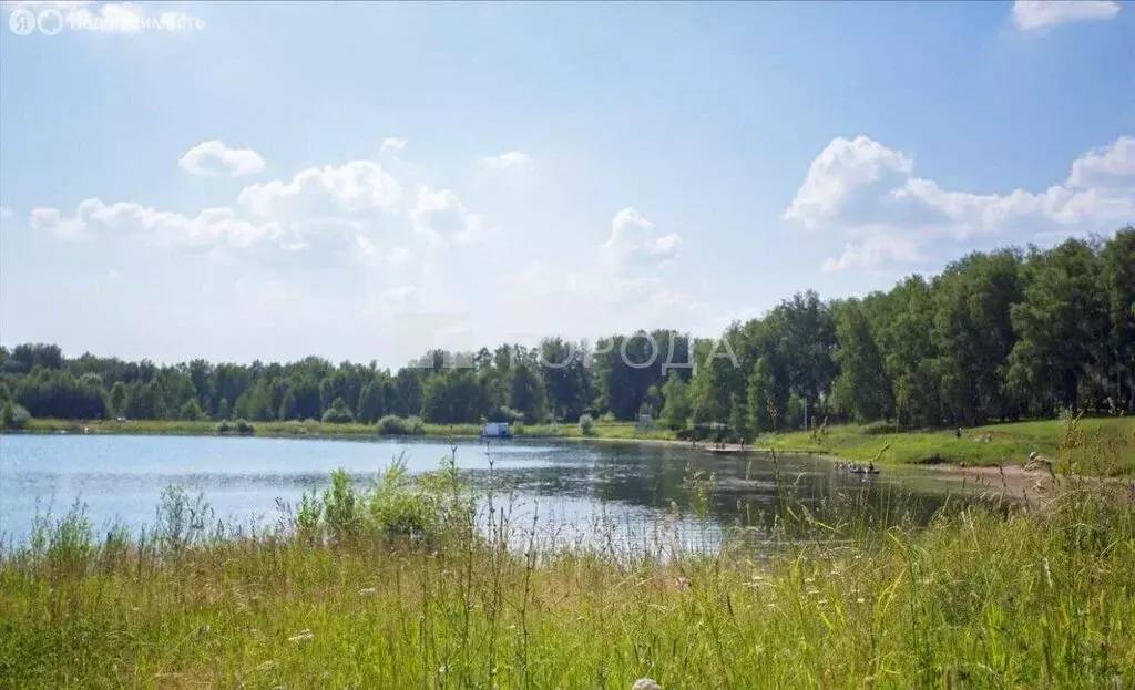 Участок в Новосибирский район, Берёзовский сельсовет, ТСН Тандем, ... - Фото 1