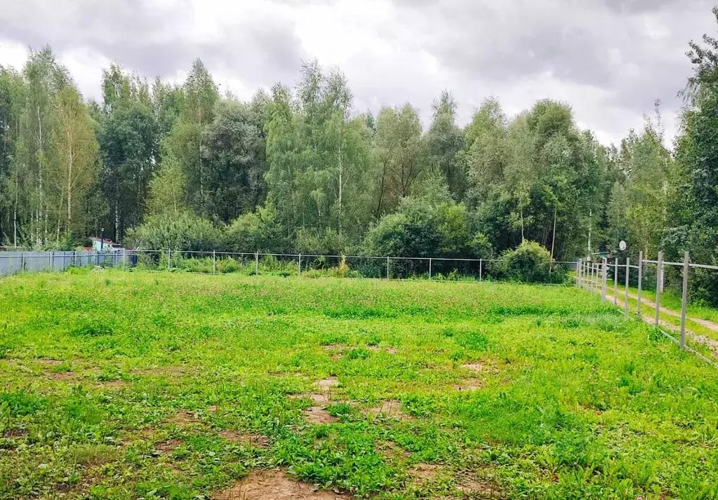 Участок в Владимирская область, Владимир Связист сад,  (24.0 сот.) - Фото 2