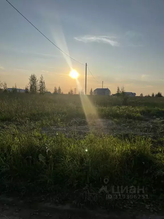 Участок в Ленинградская область, Всеволожский район, Колтушское ... - Фото 1