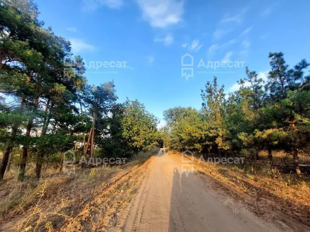 Дом в Волгоградская область, Волгоград Мирный СНТ,  (17 м) - Фото 1