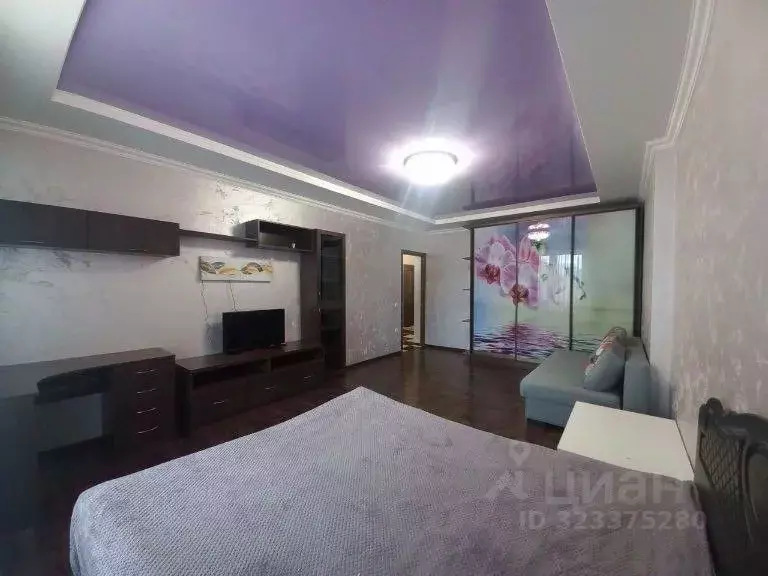 1-к кв. Ставропольский край, Пятигорск Оранжерейная ул., 21к5 (48.0 м) - Фото 1