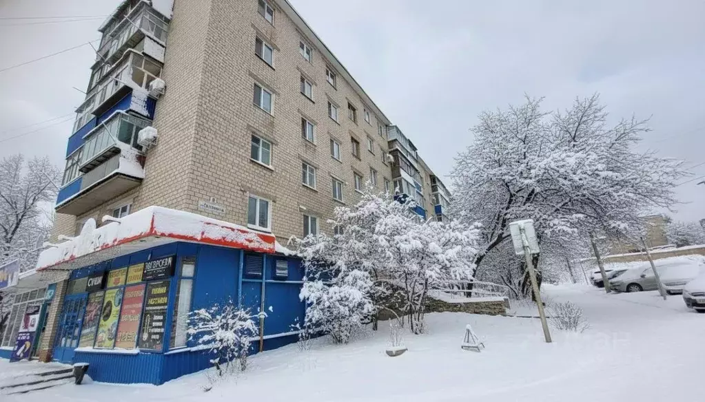 4-к кв. Оренбургская область, Медногорск ул. Гагарина, 8 (61.0 м) - Фото 1