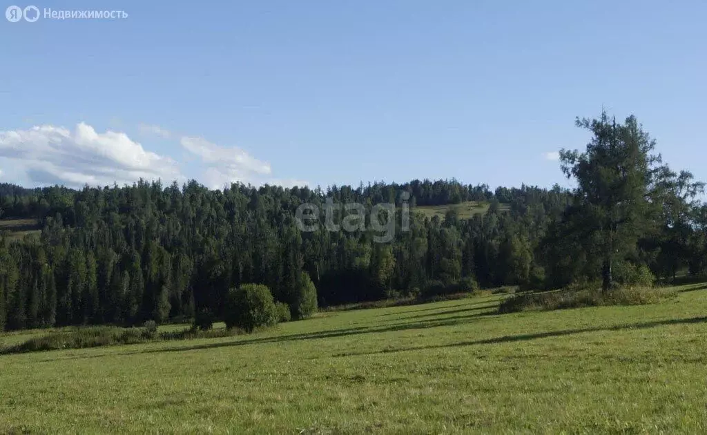 Участок в Шебалинский район, село Шебалино (3100 м) - Фото 0