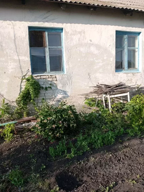 Помещение свободного назначения в Саратовская область, Шиханы  (35 м) - Фото 2