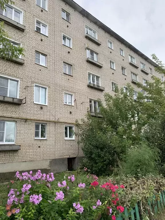 1-к кв. Ивановская область, пос. Савино ул. Первомайская (28.0 м) - Фото 2