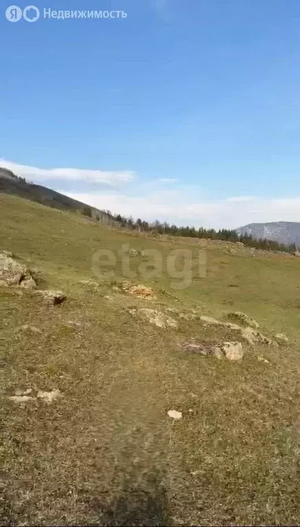 Участок в Усть-Коксинский район, село Тюнгур (20 м) - Фото 1