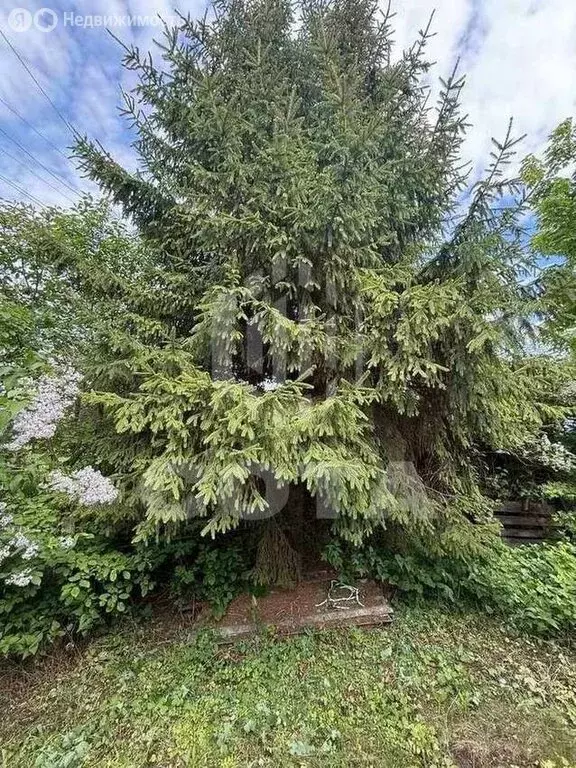 Дом в село Борщёво, улица 8 Марта, 85 (40 м) - Фото 1