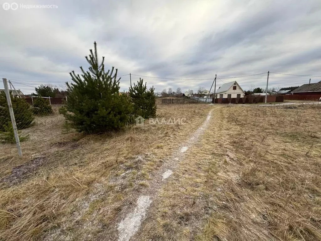 Участок в Московская область, городской округ Коломна, село Нижнее ... - Фото 0