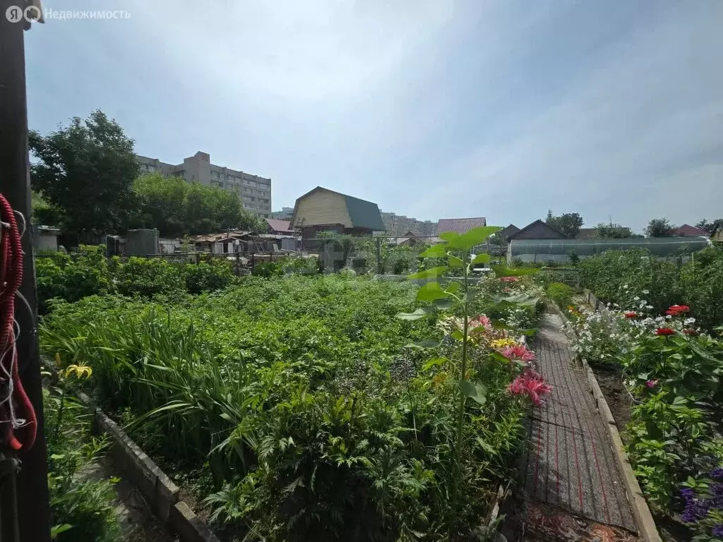 Участок в Комсомольск-на-Амуре, посёлок Зелёный (664 м) - Фото 1