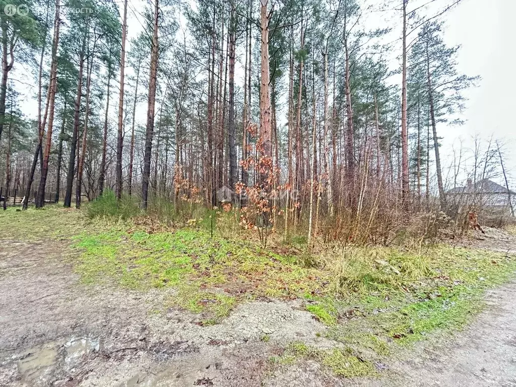 Дом в Калининград, Красивая улица, 6 (167 м) - Фото 2