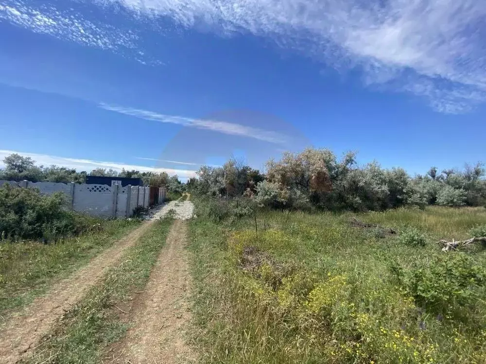 Участок в Крым, Сакский район, Новофедоровка пгт ул. Южная (6.0 сот.) - Фото 2