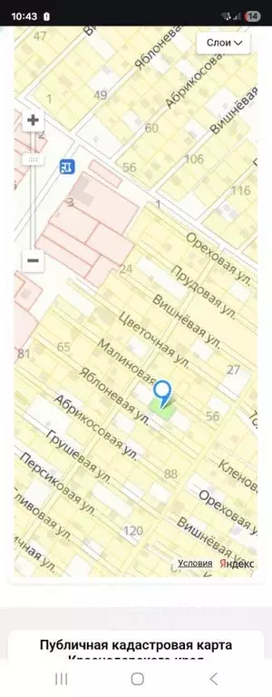 Участок, 6 сот., сельхоз (снт или днп) - Фото 0