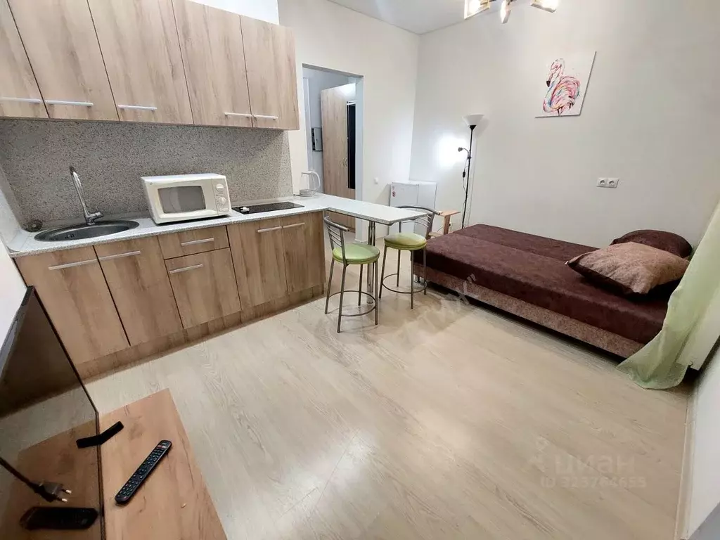 Студия Башкортостан, Уфа ул. Бородинская, 11 (19.5 м) - Фото 1