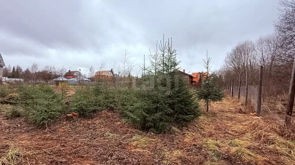 Участок в Московская область, Одинцовский городской округ, д. Митькино ... - Фото 2
