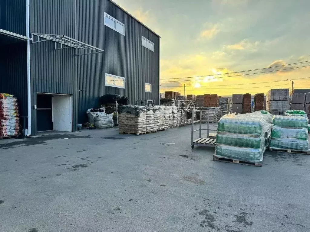 Склад в Ростовская область, Аксайский район, Большелогское с/пос, ... - Фото 2