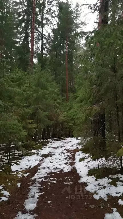 Дом в Ленинградская область, Лужский район, Толмачевское городское ... - Фото 1