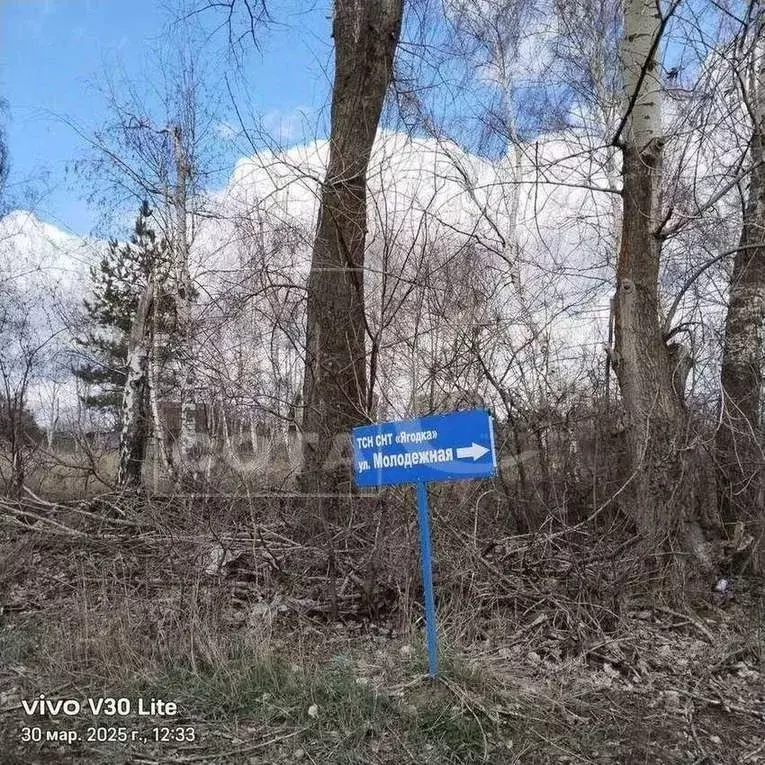 Участок в Воронежская область, Воронеж Ягодка СНТ, ул. Молодежная (6.0 ... - Фото 1