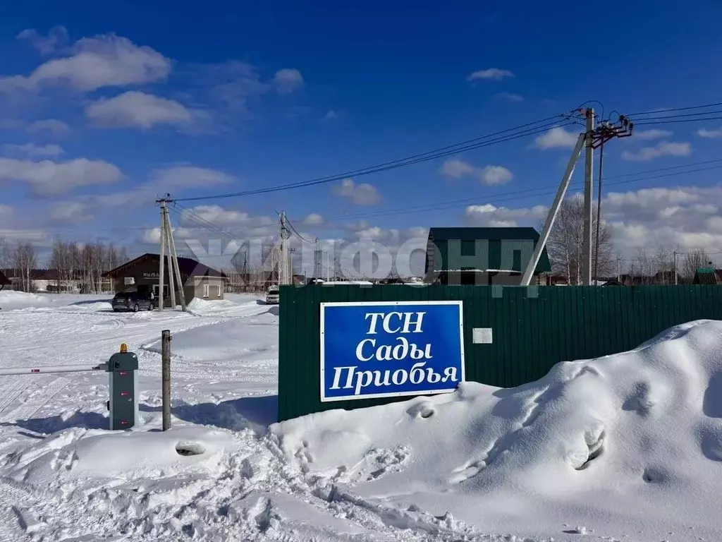 Участок в Новосибирская область, Новосибирский район, Кубовинский ... - Фото 1