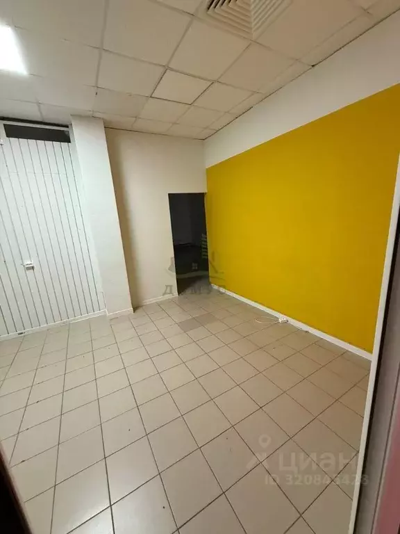 Торговая площадь в Московская область, Раменский муниципальный округ, ... - Фото 1