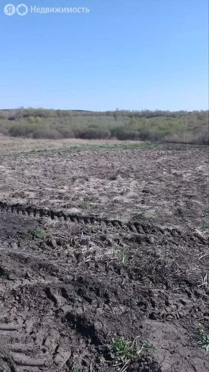 Участок в село Санниково, микрорайон Берёзка (10 м) - Фото 0