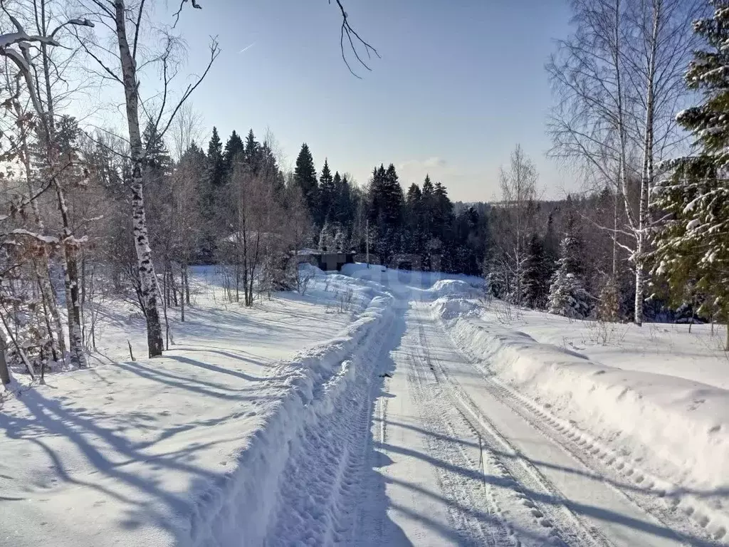 Участок в Московская область, Дмитровский городской округ, д. ... - Фото 1