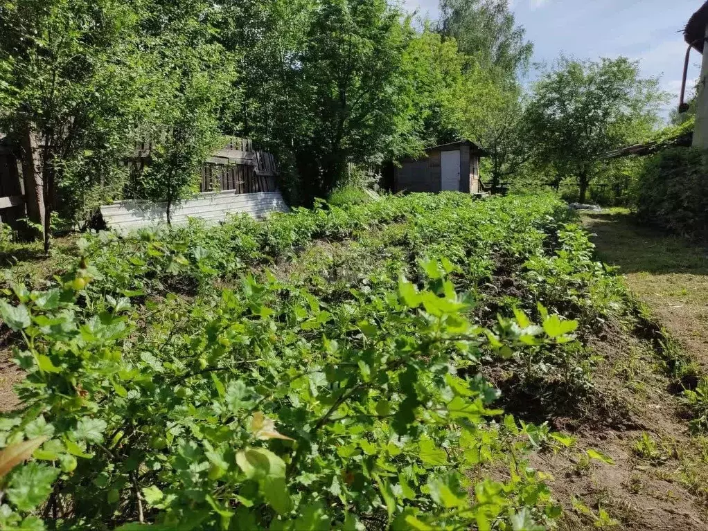 Дом в Костромская область, Шарья ул. Кирова, 17 (102 м) - Фото 1
