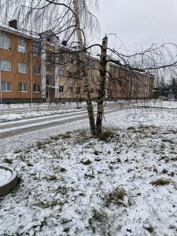 1-к кв. Ленинградская область, Всеволожск Степной просп., 16к1 (30.0 ... - Фото 1