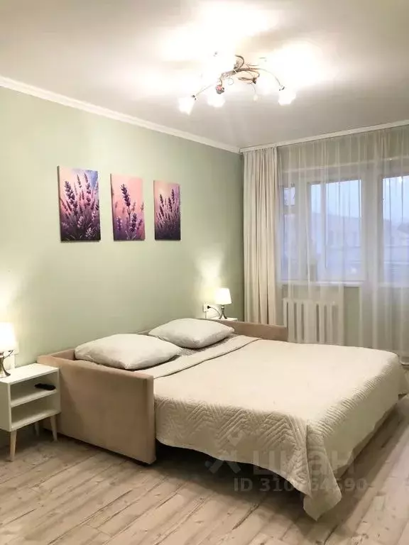 1-к кв. Псковская область, Псков Советская ул., 77А (30.0 м) - Фото 2