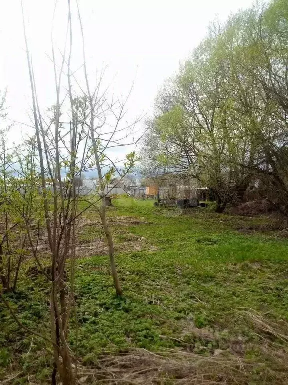 Участок в Калужская область, Перемышльский район, Ахлебинино с/пос, с. ... - Фото 2