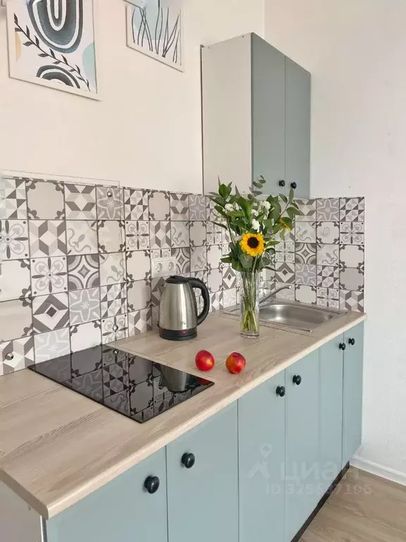 Студия Московская область, Ленинский городской округ, Боброво пгт ул. ... - Фото 2