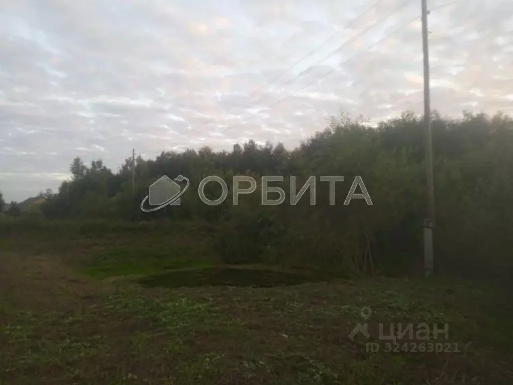 Участок в Тюменская область, Тюменский муниципальный округ, Лесное СНТ ... - Фото 1