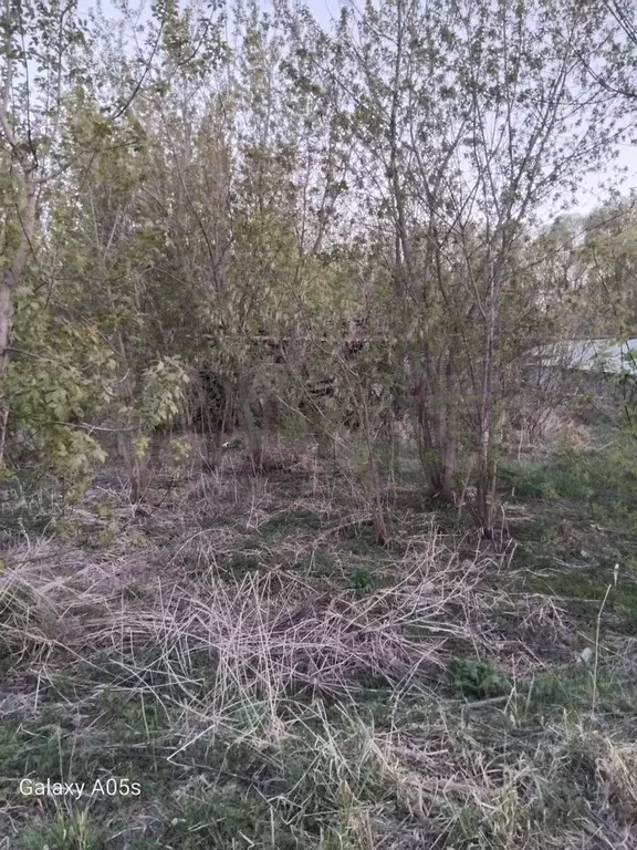 Участок 12 сот. (ИЖС) - Фото 1