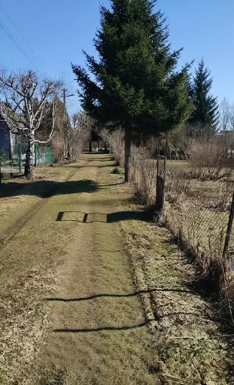 Дом в Московская область, Раменский муниципальный округ, Комета СНТ 34 ... - Фото 1