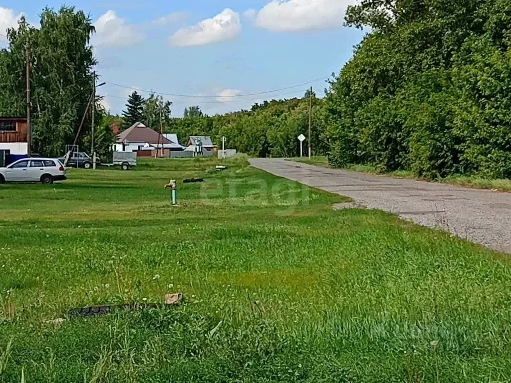 Участок в Алтайский край, с. Романово ул. Фрунзенская, 77 (36.2 сот.) - Фото 2