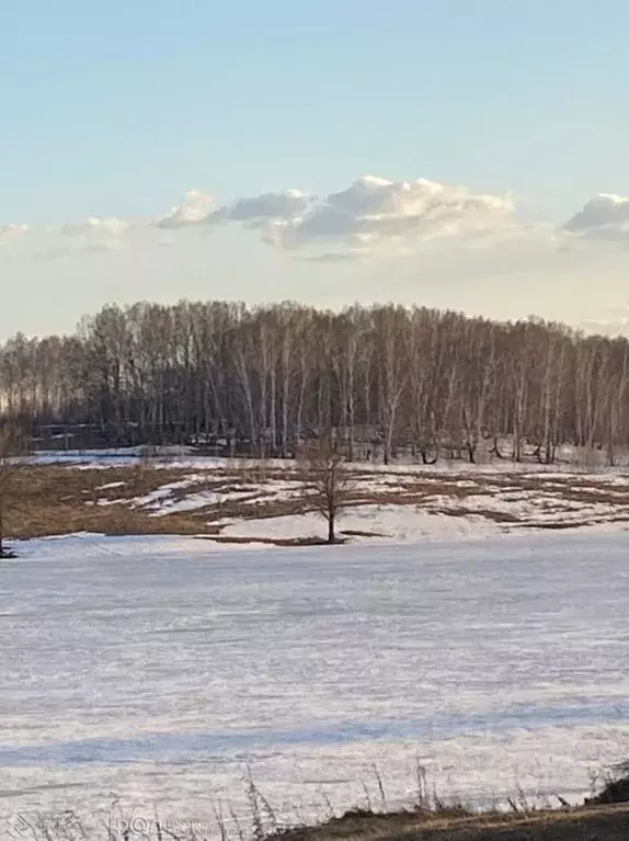 Участок в Новосибирская область, Мошковский район, с. Сокур  (50.04 ... - Фото 0