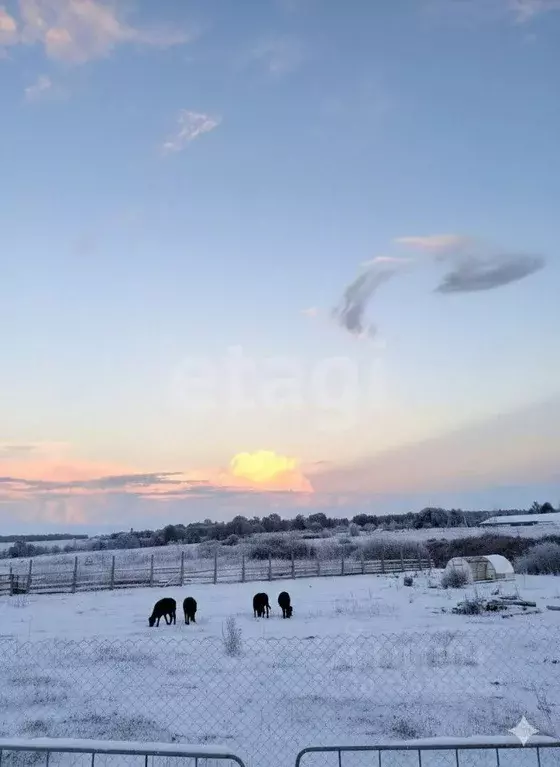 Участок в Калужская область, Боровский муниципальный округ, д. ... - Фото 1