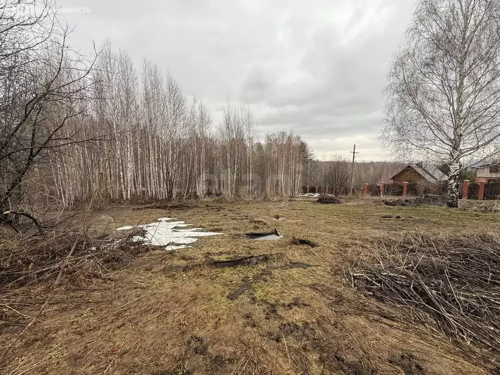 Участок в Новокузнецк, СНТ Зеленчиха (10 м) - Фото 2