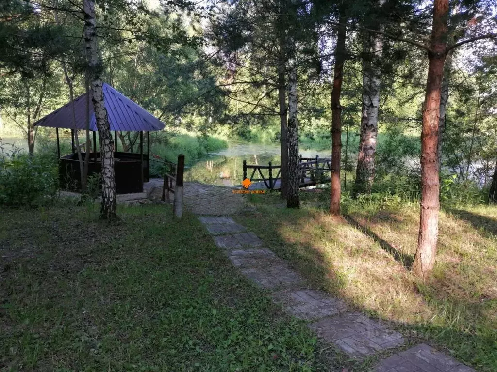 Участок в Московская область, Чехов муниципальный округ, д. Плешкино ... - Фото 1