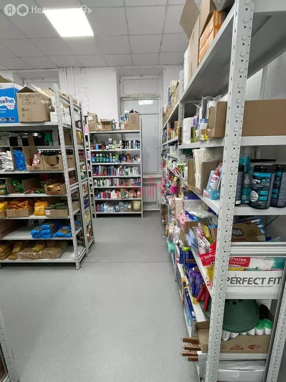 Помещение свободного назначения (250 м) - Фото 2