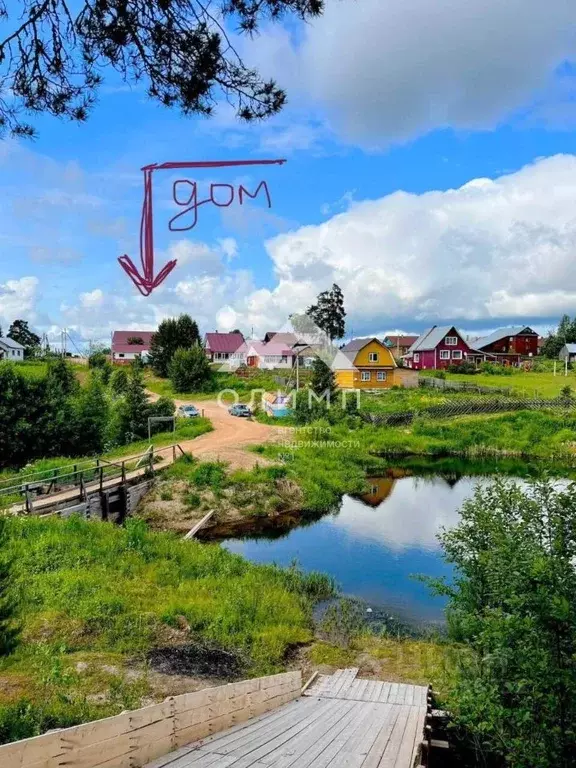 Дом в Вологодская область, Никольский муниципальный округ, с. Светлый ... - Фото 1