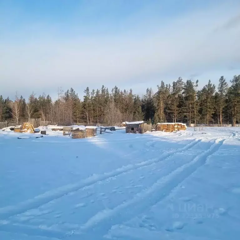 Участок в Иркутская область, Братск Сухой жилрайон,  (12.0 сот.) - Фото 2