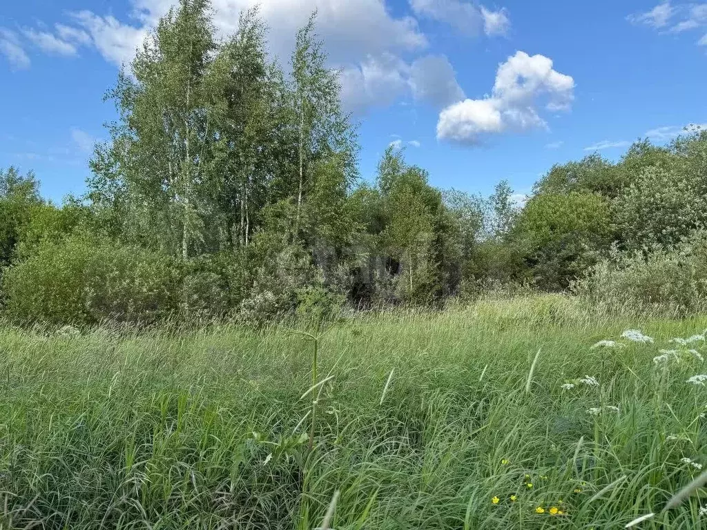 Участок 10 сот. (СНТ, ДНП) - Фото 1