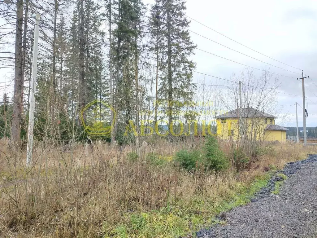 Участок в Свердловская область, Ревда ул. Кедровая (10.0 сот.) - Фото 2