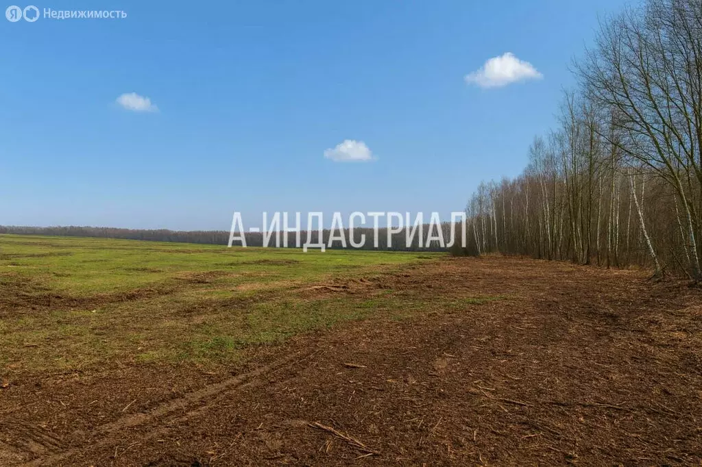 Участок в Московская область, городской округ Домодедово, деревня ... - Фото 1